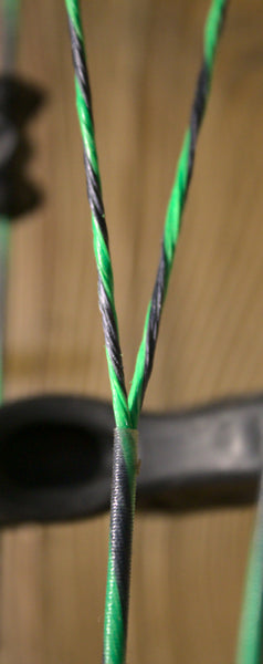 Bow Madness XP Strings (2014)