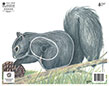 NFAA Squirrel Paper Target